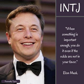 what myers briggs is elon musk